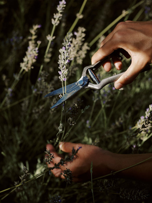 Pallarès × Audo Plant Shears